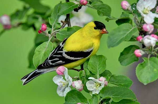 Ai sinh tháng Âm lịch này sự nghiệp phát triển bất ngờ, tương lai thuận buồm xuôi gió-2