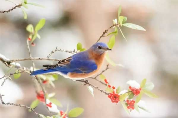 Ai sinh tháng Âm lịch này sự nghiệp phát triển bất ngờ, tương lai thuận buồm xuôi gió-3