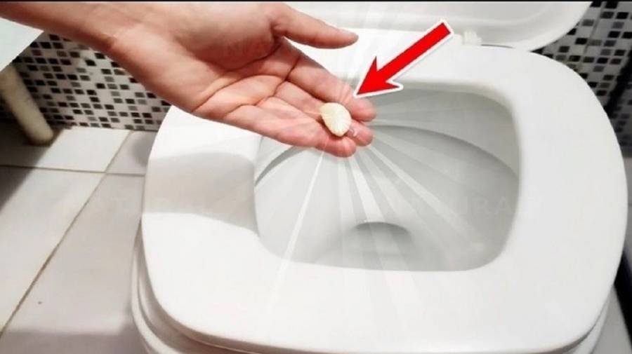 Bỏ 1 tép tỏi thả vào bồn cầu: Tác dụng cực tốt, nhà nào cũng cần-1