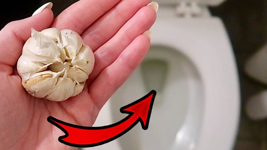 Bỏ 1 tép tỏi thả vào bồn cầu: Tác dụng cực tốt, nhà nào cũng cần-2