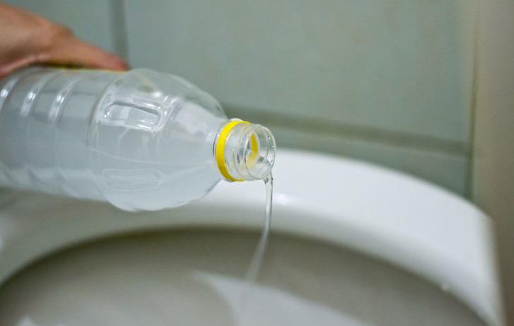 Bỏ 1 tép tỏi thả vào bồn cầu: Tác dụng cực tốt, nhà nào cũng cần-3