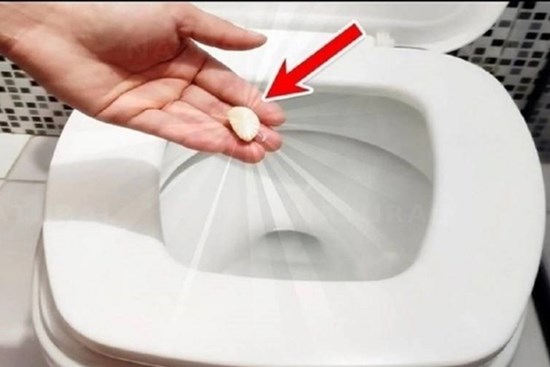 Bỏ 1 tép tỏi thả vào bồn cầu: Tác dụng cực tốt, nhà nào cũng cần