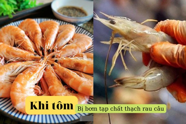 Rộ thông tin tôm càng được bơm tạp chất thạch rau câu càng tốt cho sức khỏe: Chuyên gia nói gì?-1