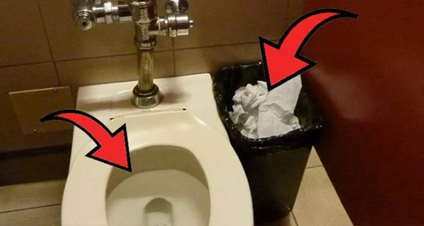 Giấy vệ sinh dùng xong nên vứt vào bồn cầu hay thùng rác: Câu trả lời khiến bạn vỡ òa-1