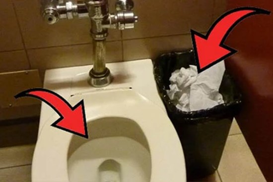 Giấy vệ sinh dùng xong nên vứt vào bồn cầu hay thùng rác: Câu trả lời khiến bạn vỡ òa