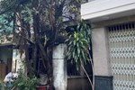 Bắt kẻ phóng hỏa đốt nhà khiến 2 mẹ con chết thương tâm ở An Giang-3