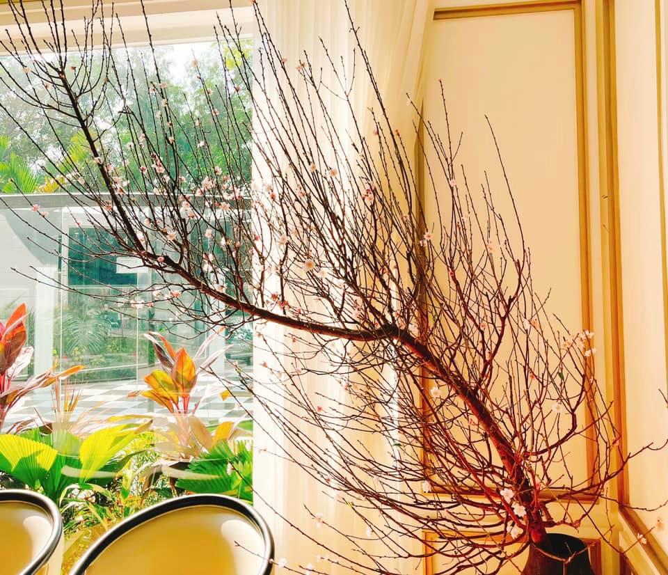 Biệt thự siêu sang mà ông bầu của Ngọc Trinh ở có gì đặc biệt?-13