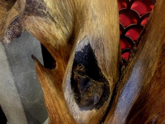 Sửng sốt những khối trầm hương tiền tỷ của đại gia Việt-3