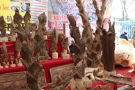 Sửng sốt những khối trầm hương tiền tỷ của đại gia Việt