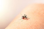 6 dấu hiệu cảnh báo nguy hiểm của bệnh sốt xuất huyết-3