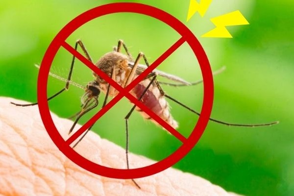 Mẹo hữu ích đuổi côn trùng ra khỏi nhà-2