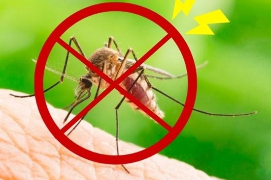 10 cách đuổi muỗi ra khỏi nhà vĩnh viễn, đơn giản, không còn con nào dám vo ve