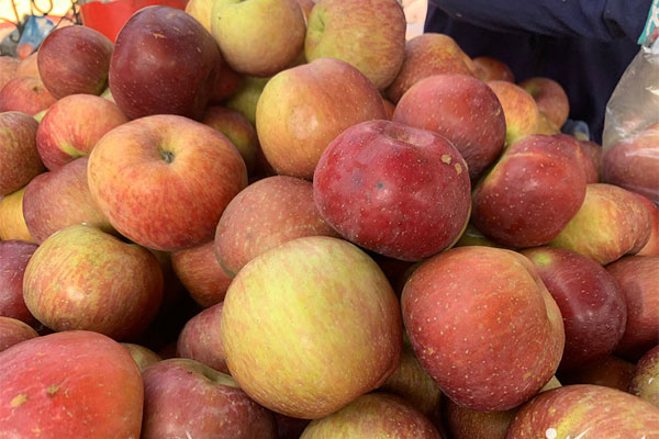 Táo đen sì bổ béo gì... gần nửa triệu đồng/quả?-11