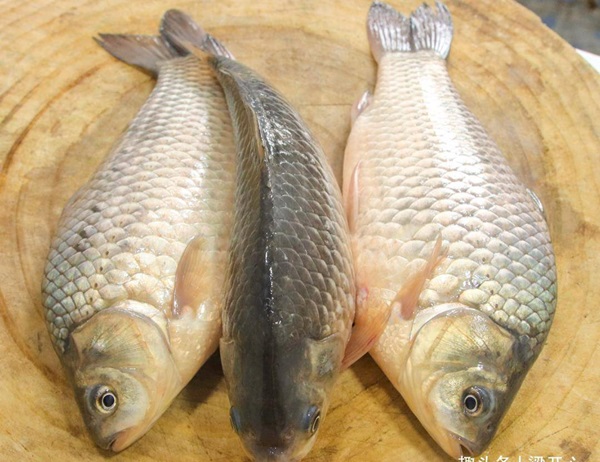 Hướng dẫn công thức làm cá diếc chiên, vị thơm ngon, giòn rụm ai cũng tấm tắc khen-1