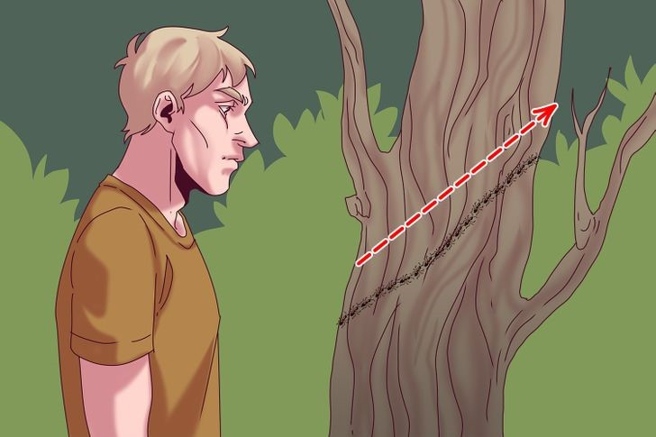 8 lời khuyên cứu mạng bạn trong tình huống nguy hiểm-6