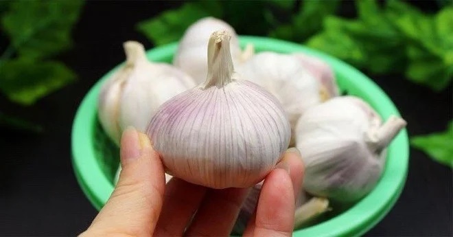 5 cách đuổi kiến ra khỏi nhà vĩnh viễn, vừa đơn giản lại rẻ tiền, ai cũng làm được-2