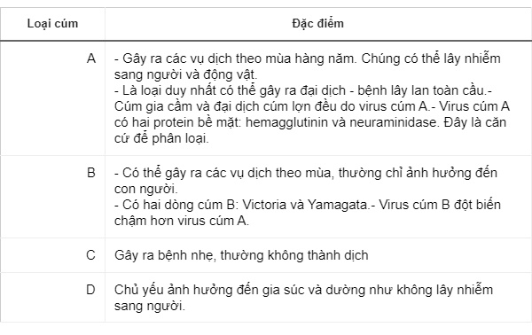Sai lầm khi cho rằng cúm B không nguy hiểm bằng cúm A-2