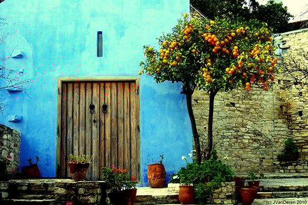 Trồng 5 loại cây này trước cửa, tài vượng, phú quý rợp trời, con cái ba đời no đủ-5