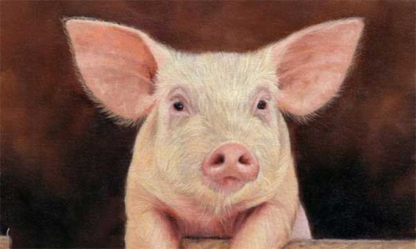 Đúng Rằm tháng 10 âm lịch, 3 con giáp đổi vận phát tài, cuối tháng tiền vào như nước-3