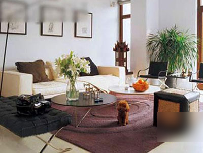 Tổ ấm xa hoa của Tình Nhi Vương Diễm: Nhìn thẳng sang Tử Cấm Thành, màu sắc nội thất lòe loẹt nhưng vẫn tạo nét-11