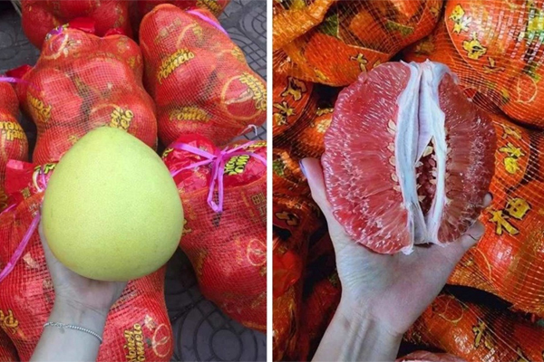 Giống bưởi ‘lạ’ vàng căng bóng, múi đỏ au bán đầy chợ giá rẻ-1