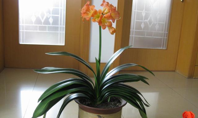 Đừng đặt 4 thứ này trong phòng ngủ của trẻ, không những ảnh hưởng đến sự phát triển mà còn dễ sinh bệnh-2