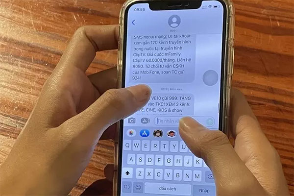 Chơi tiền ảo thua lỗ, nữ kế toán trưởng rút ruột gần 20 tỷ đồng của công ty-2