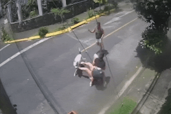 Chó Pitbull tấn công cô gái ngay trong sảnh chung cư-1