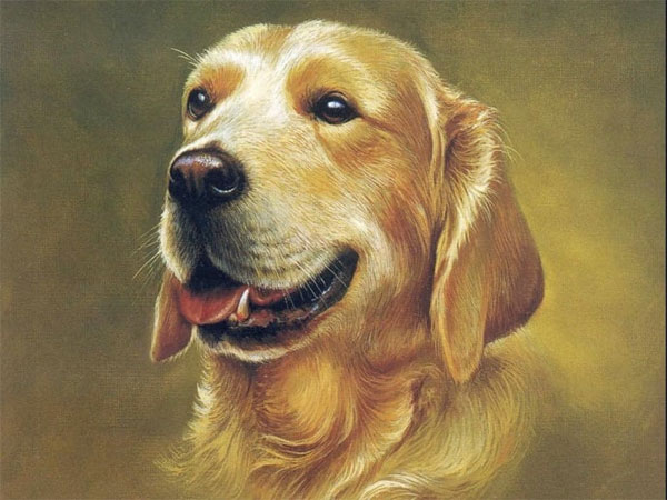 Thời vận đã đến: 3 con giáp như chuột sa hũ nếp, tiền tài viên mãn trong nửa cuối tháng 11-2