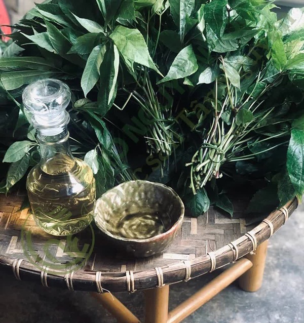 Loại lá cây tươi có giá cao nhưng vẫn nhiều người tìm mua trên thị trường-5