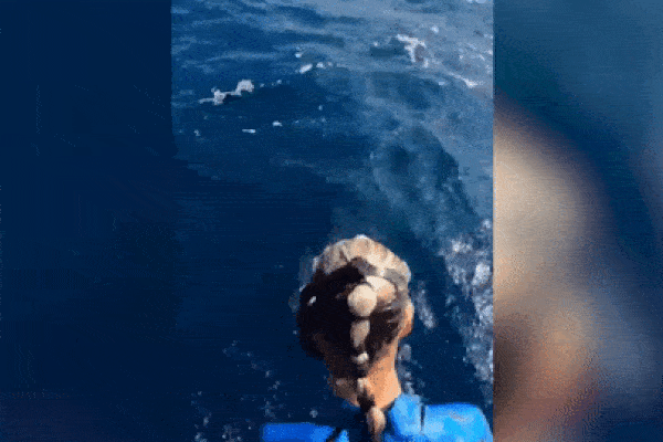 Khoảnh khắc cá mập lao khỏi mặt nước 'tấn công' nữ thợ lặn