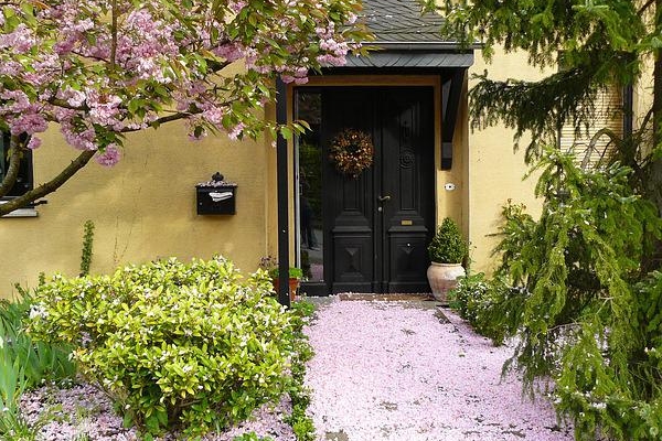 5 loại cây trồng trước nhà như chôn vàng: Gia đạo bình an, giàu sang phú quý con cháu hưởng phúc muôn đời-5