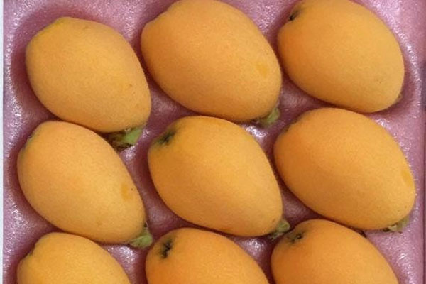 Dân Việt ngày càng ăn nhiều rau quả Trung Quốc-2