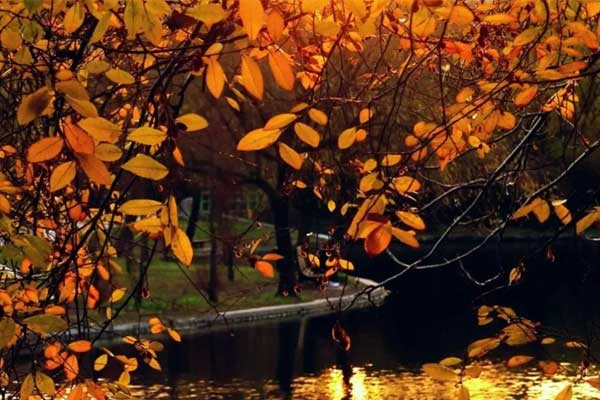 Mùa thu, 4 con giáp đón nhiều điều tốt lành, sự nghiệp thăng tiến, hạnh phúc mỉm cười-1