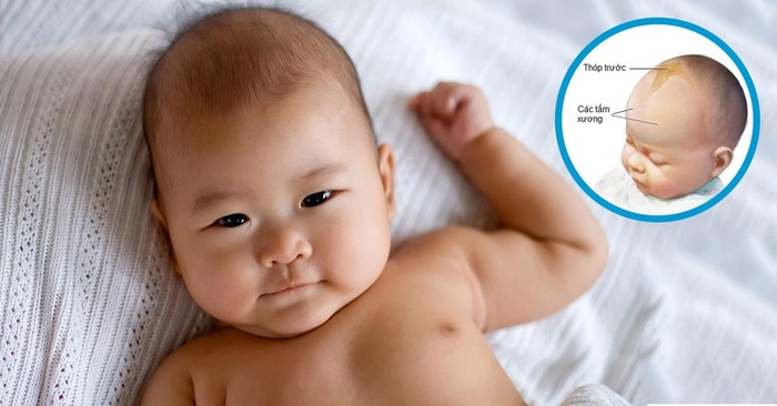 2 bộ phận của trẻ nhỏ rất mỏng manh, mẹ đừng tùy tiện chạm vào-1