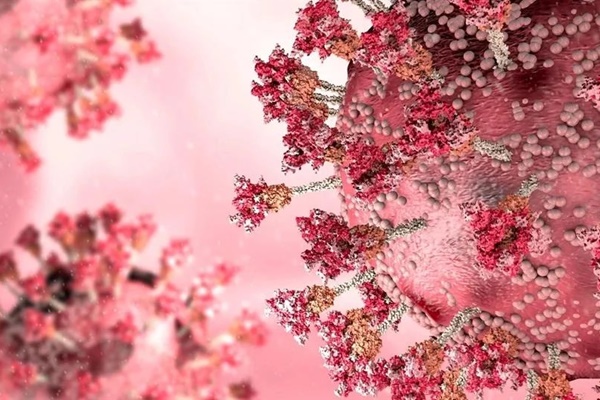 Mỹ: Xác định biến chủng xuyên miễn dịch tốt hơn BA.5 từ 3-8 lần-1