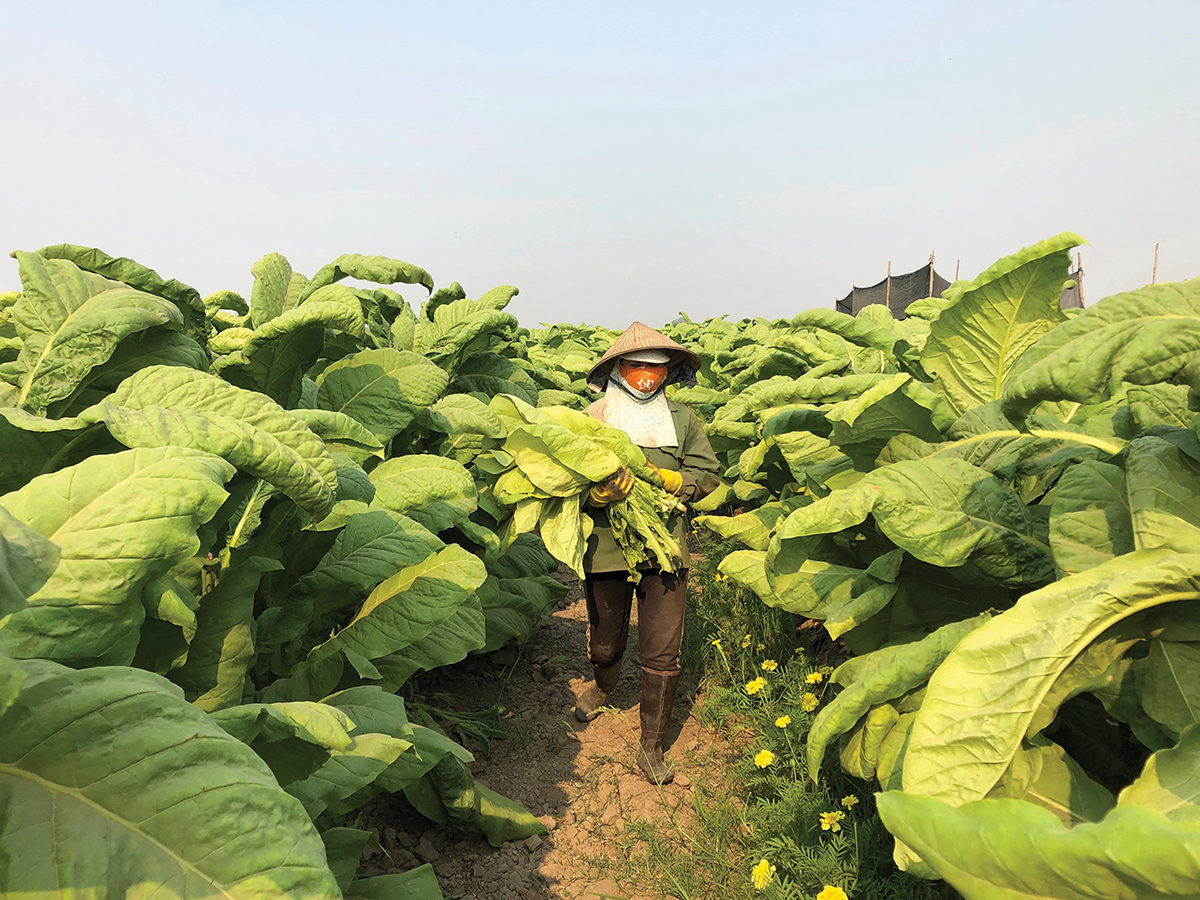 BAT Việt Nam công bố Báo cáo Phát triển Bền vững ESG 2021-3