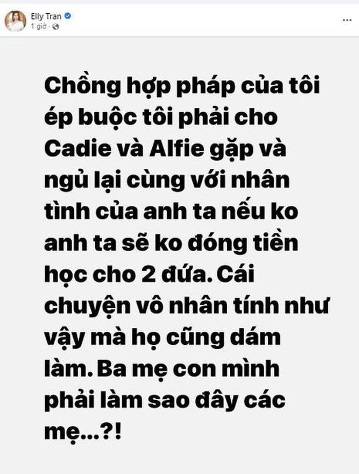 Elly Trần đăng đàn bức xúc cách đối xử vô nhân tính của chồng cũ đối với con-3