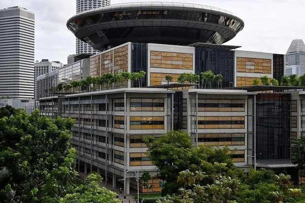 Người mẹ mù kiện 2 con ruột vì bị cướp nhà ở Singapore-1