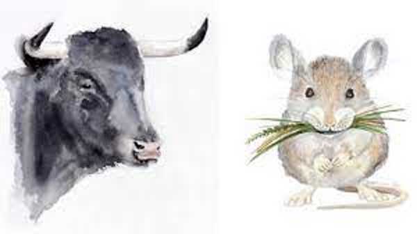 3 con giáp trời sinh mệnh giàu sang, sau 35 tuổi hưởng vinh hoa phú quý, càng già càng viên mãn-3