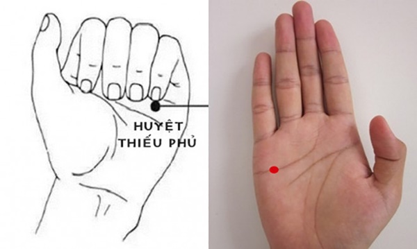 5 triệu chứng báo hiệu nội tạng của bạn tích tụ nhiều độc tố, hãy thường xuyên làm điều này để giải độc-4