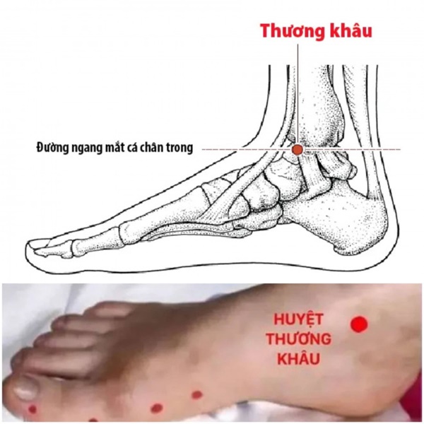 5 triệu chứng báo hiệu nội tạng của bạn tích tụ nhiều độc tố, hãy thường xuyên làm điều này để giải độc-5