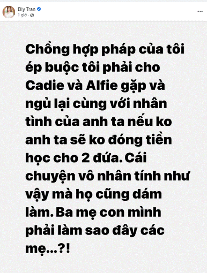 Bị tấn công, Elly Trần tiếp tục cầu cứu cộng đồng mạng sau khi tố chồng Tây ngoại tình-1