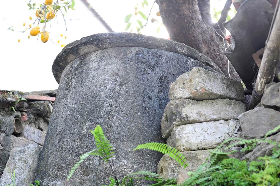 Gia chủ tiết lộ thu nhập khủng nhờ cây hồng cổ trăm tuổi quý hơn vàng ở Ninh Bình-8