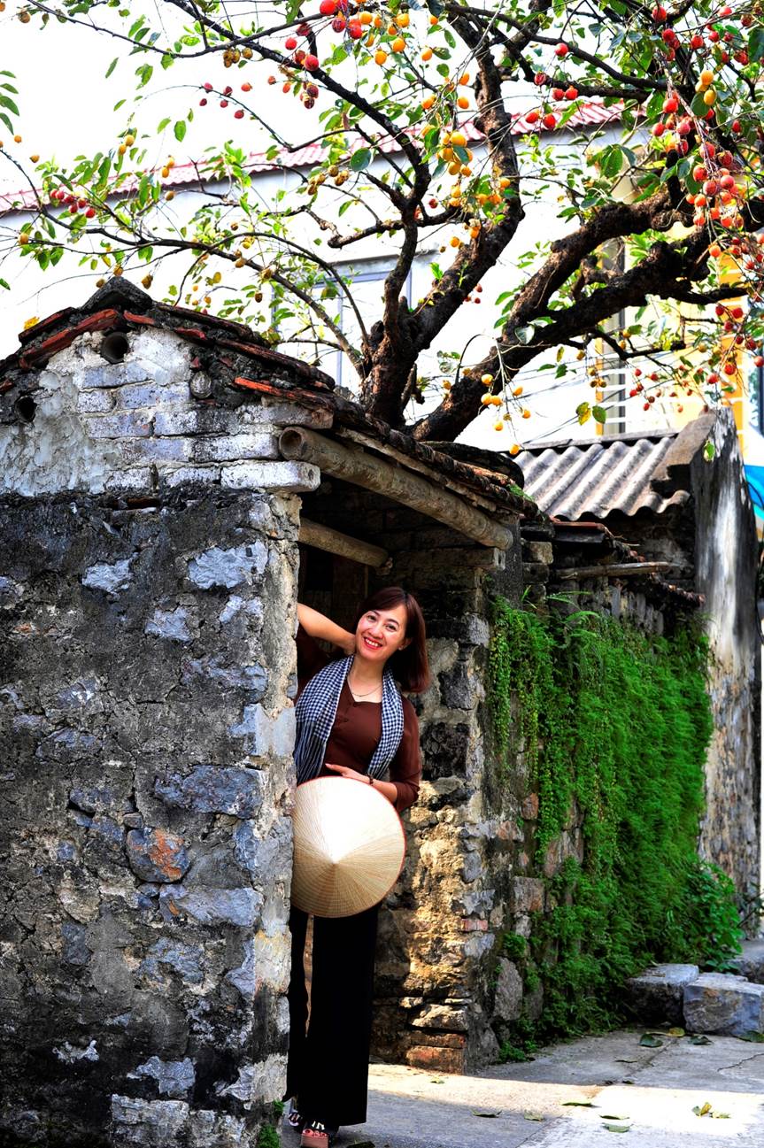 Gia chủ tiết lộ thu nhập khủng nhờ cây hồng cổ trăm tuổi quý hơn vàng ở Ninh Bình-7