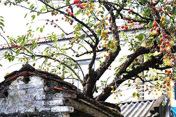 Mùa Tết không thưởng của hàng nghìn công nhân-3