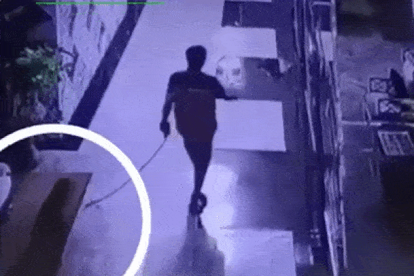 Clip: Bị tấn công, nam thanh niên dùng tay không đánh trả chó Pitbull-1