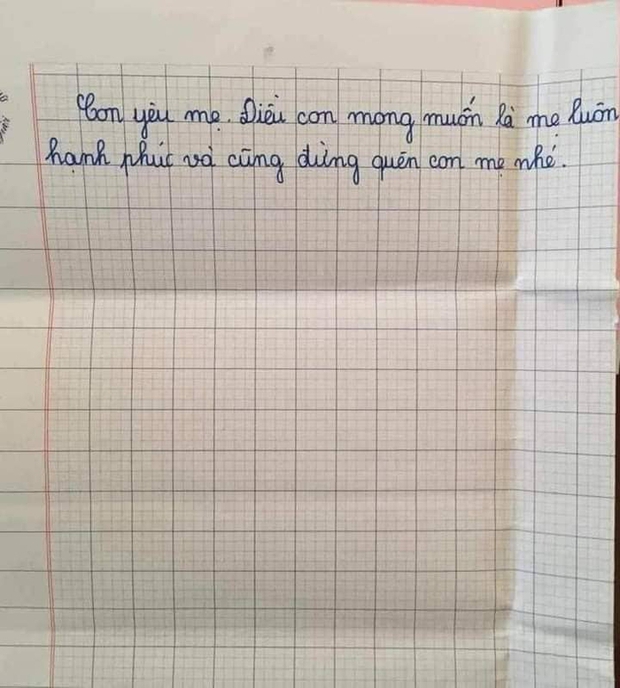 Bức thư gửi mẹ của cô bé lớp 5 khiến người đọc rơi nước mắt-4