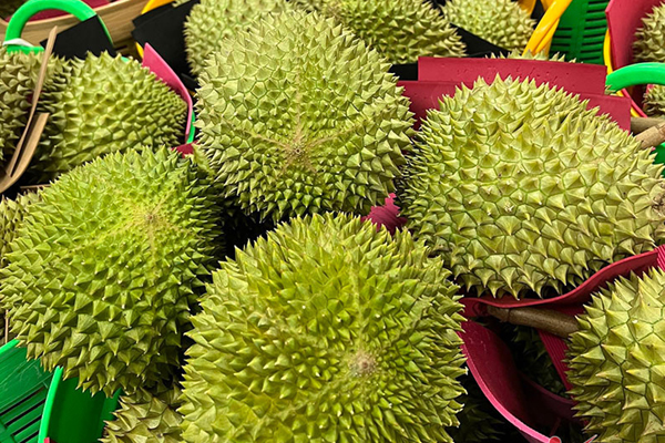 Loại sầu riêng đắt hơn Musang King, giá 2 triệu/kg vẫn thiếu hàng bán-4