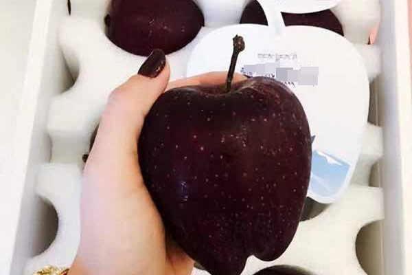 Táo đen sì bổ béo gì... gần nửa triệu đồng/quả?-9